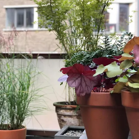Giorgio Holiday home Antwerp